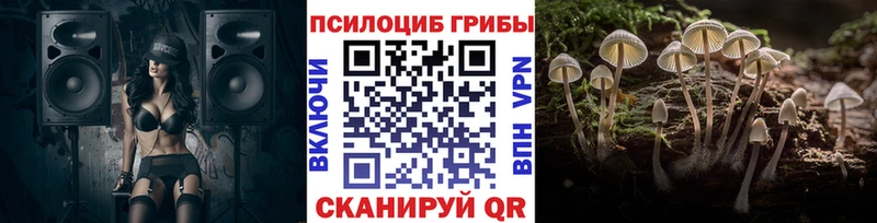 Купить закладки  Нюрба  Галлюциногенные грибы MAGIC MUSHROOMS 